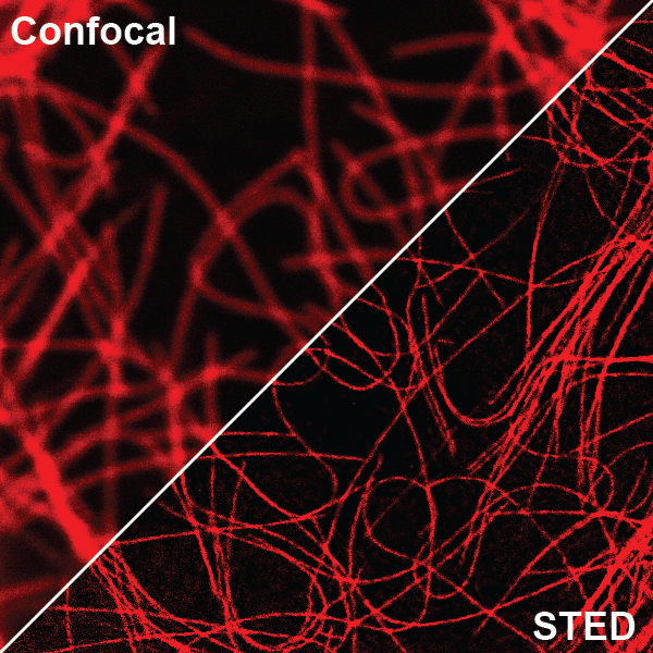 微管超分辨探针示意图