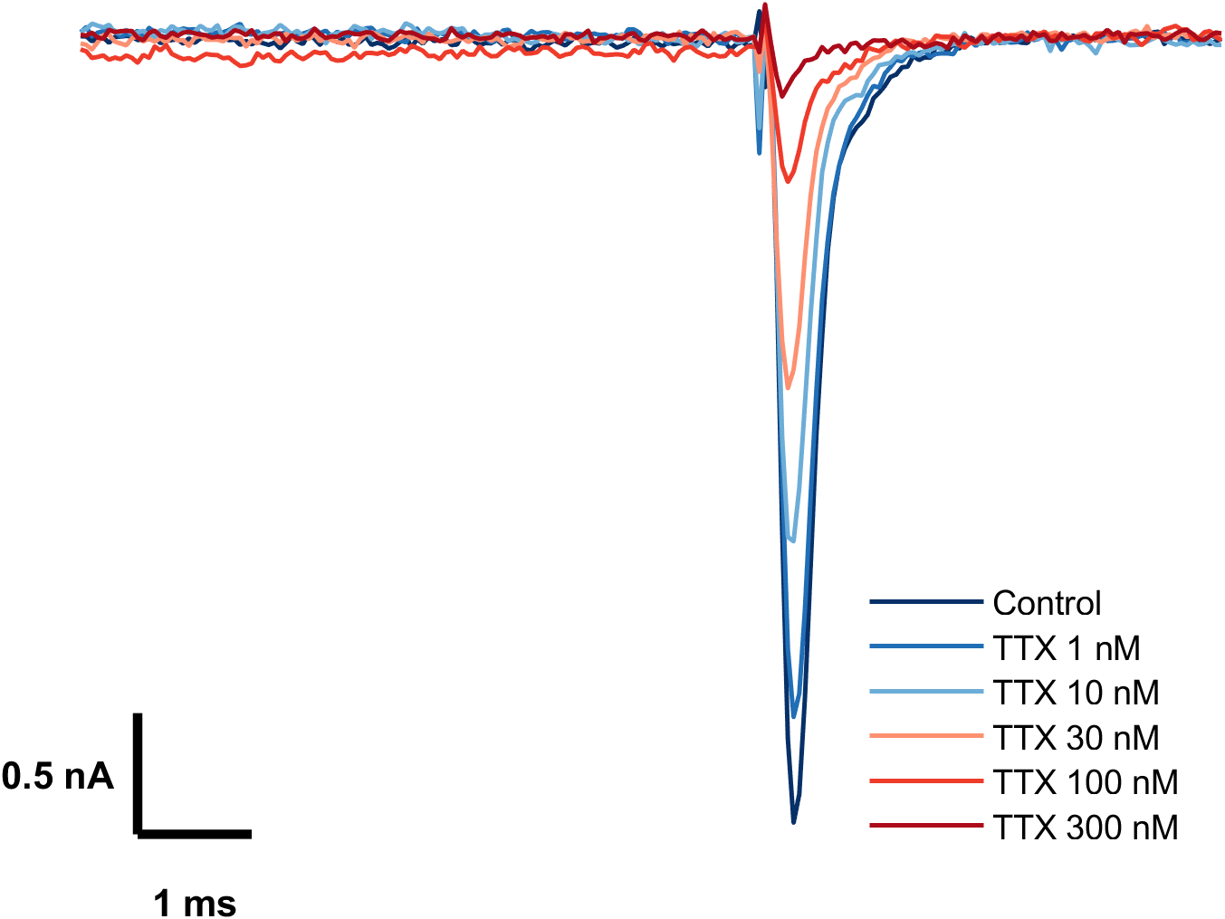 Nav1.7膜片钳验证数据